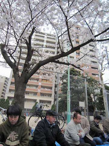 hanami